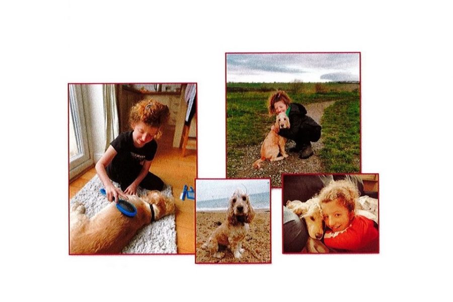 Update On Hearing Dogs For Deaf People